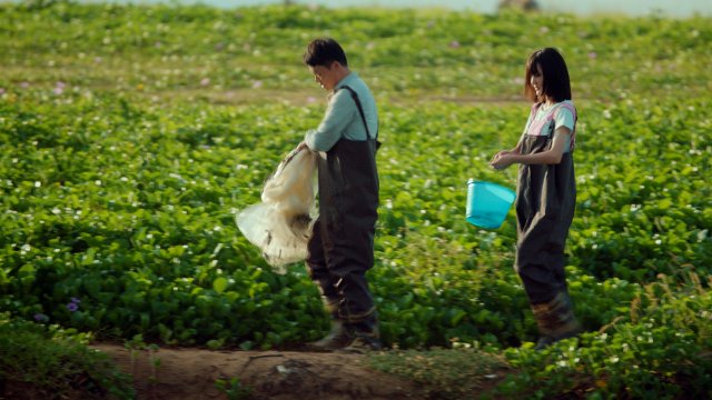 《生命如花爱如蜜》1月19日浪漫上映，花神倾力塑造甜蜜独宠恋曲