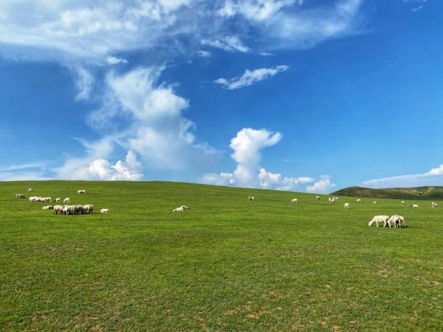 锡林浩特旅游攻略必玩的景点 锡林浩特旅游必去免费景点