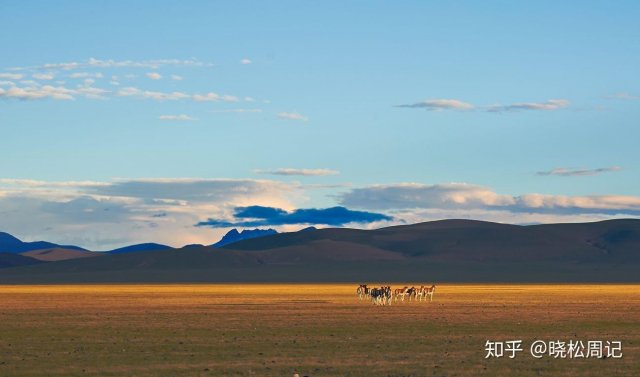 西藏的旅游景点都有哪些 西藏有哪些经典的旅游景点