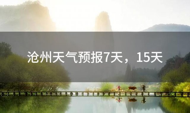 沧州天气预报7天 15天「2023年11月30日」