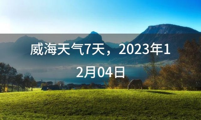 威海天气7天，2023年12月04日