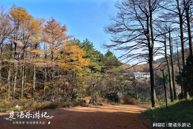 四明山：宁波的绿色明珠，浙江的重要旅游景点