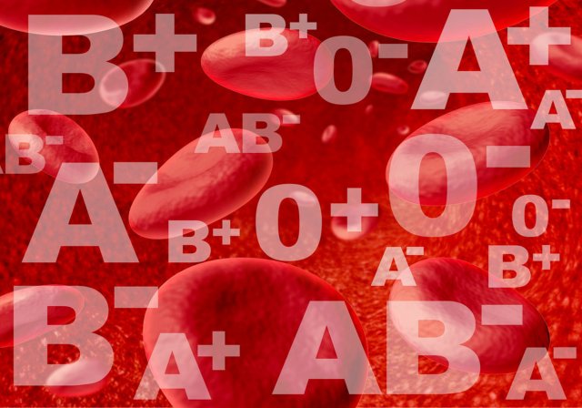 o型血和b型血生的孩子是什么血型 b型血跟o型血生的孩子什么血型