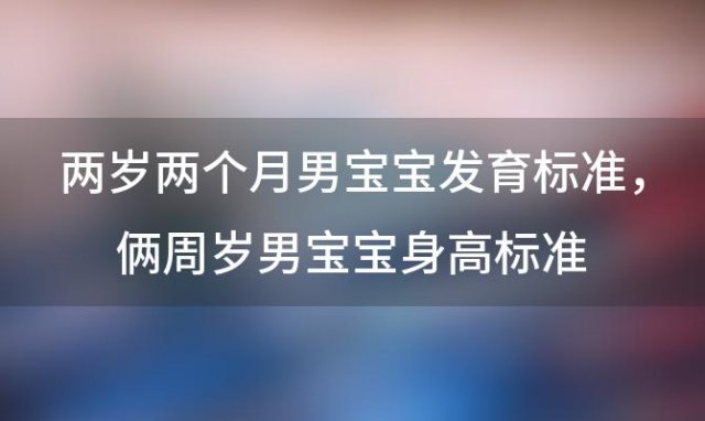 两岁两个月男宝宝发育标准，俩周岁男宝宝身高标准