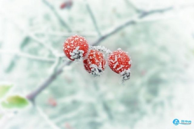 12月份去哪里旅游好(12月份去哪里旅游好一点)