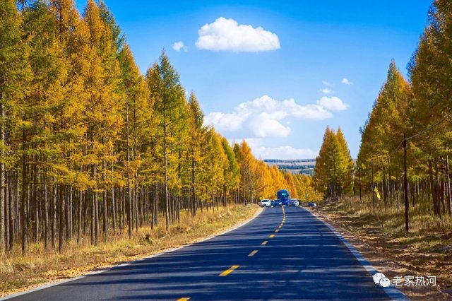 塞罕坝：河北承德的绿色明珠，中国的达沃斯