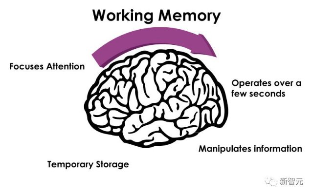 2028年AGI时代来临：DeepMind联合创始人深度解析未来AI发展趋势