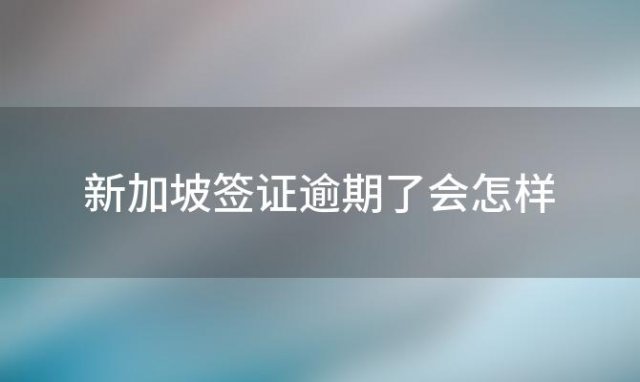 新加坡签证逾期了会怎样，新加坡签证逾期怎么办