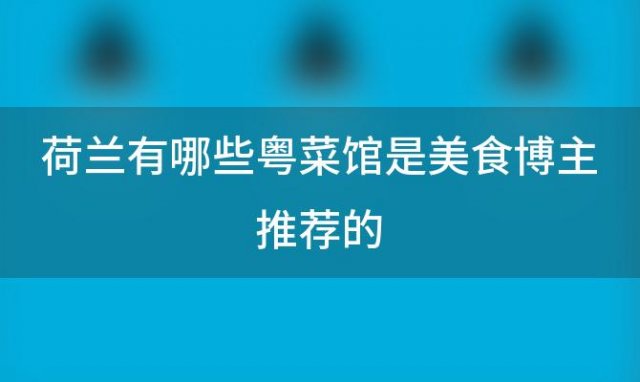 荷兰有哪些粤菜馆是美食博主推荐的