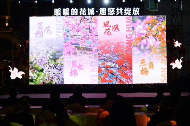 攀枝花第二届“花节”开幕，发布2024观花指南，引领花卉新潮流