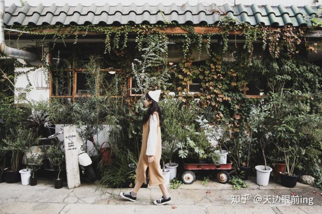 京都旅游攻略:必去的景点和美食推荐，京都这十几处景点你一定不能错过