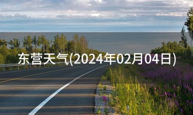 东营天气(2024年02月04日)