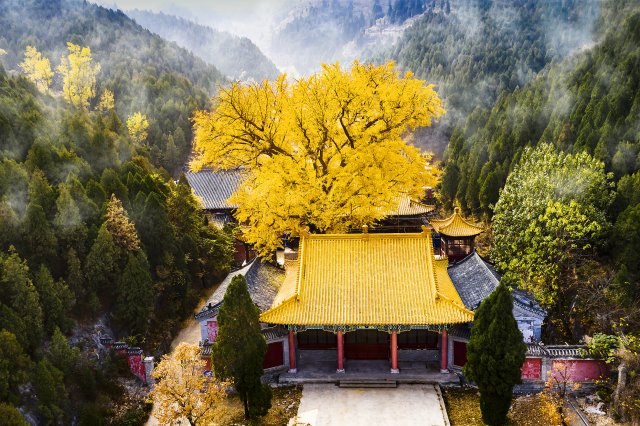 淌豆寺好玩吗值得去吗，淌豆寺好玩吗多少钱