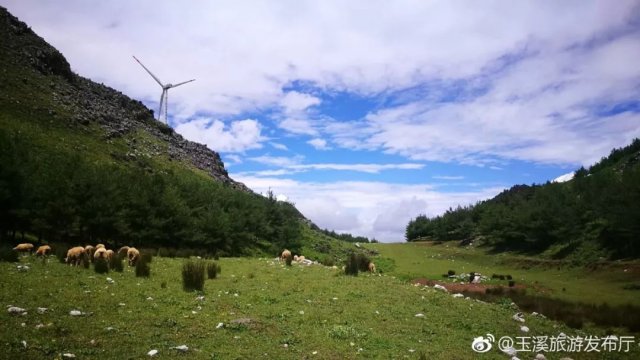 玉溪有哪些值得一去的旅游景点(玉溪市有哪些比较冷门的宝藏仙境值得打卡)