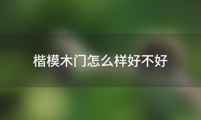 楷模木门怎么样好不好「楷模木门整木定制怎么样」