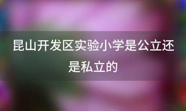 昆山开发区实验小学是公立还是私立的(昆山开发区实验学校排名第几)