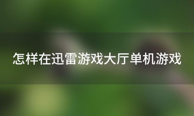 怎样在迅雷游戏大厅单机游戏，电脑上怎么下单机游戏