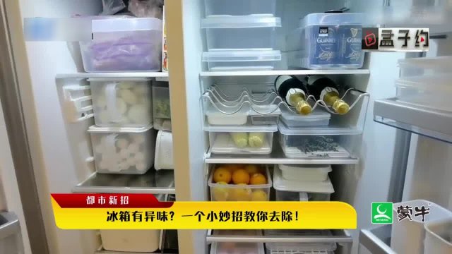 5_招轻松去除冰箱异味，冰箱里放什么可以除异味