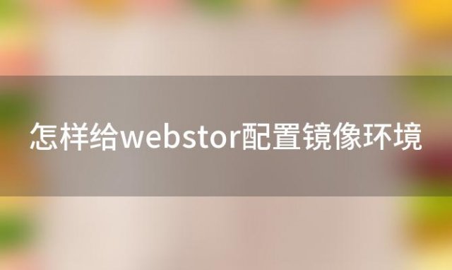 怎样给webstor配置镜像环境(ubuntu怎么安装webstor)