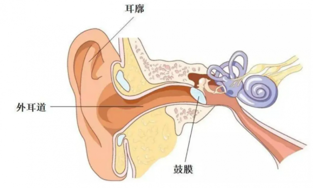 婴儿耳部感染症状(婴儿外耳道感染)