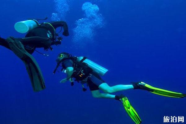 潜水时遇到下降流怎么办(潜水时遇到水流怎么办)