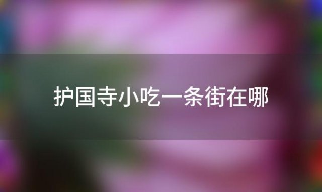 护国寺小吃一条街在哪，北京护国寺小吃街在那里怎么去