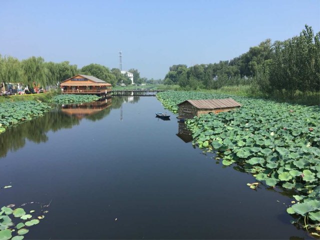 白洋淀旅游攻略自驾游一日游「白洋淀自驾游攻略:美不胜收的水乡风光」