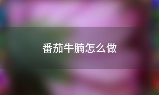 番茄牛腩怎么做「番茄牛腩的家常做法」