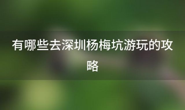 有哪些去深圳杨梅坑游玩的攻略(在深圳杨梅坑游玩的攻略是什么)