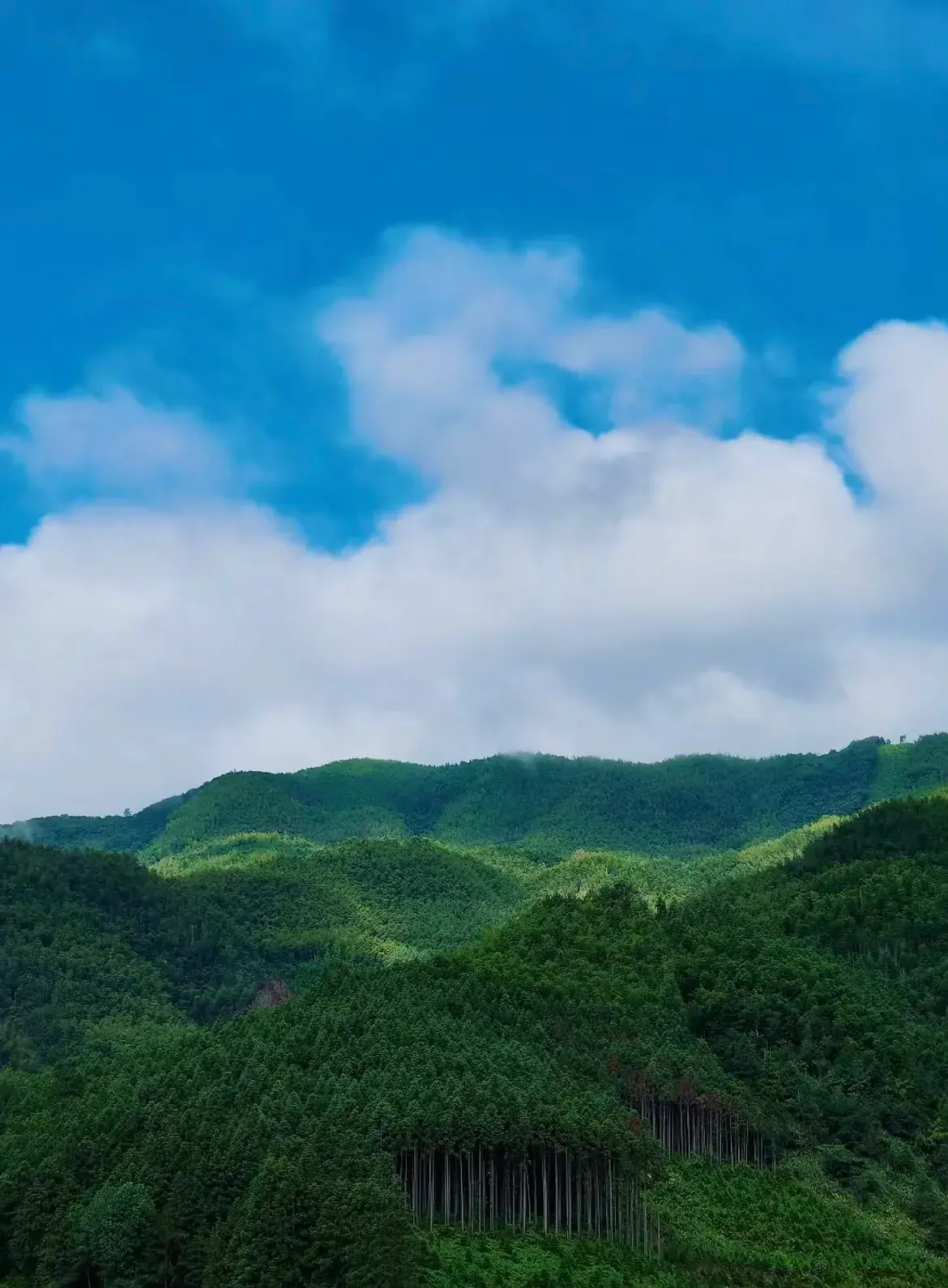 浙江丽水有哪些值得玩的景点，浙江丽水必去景点