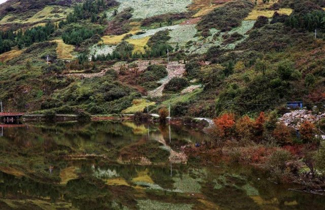 乐山这个冷门秘境在哪里 乐山这个冷门秘境是什么