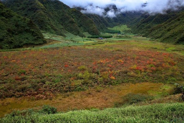 乐山这个冷门秘境在哪里 乐山这个冷门秘境是什么