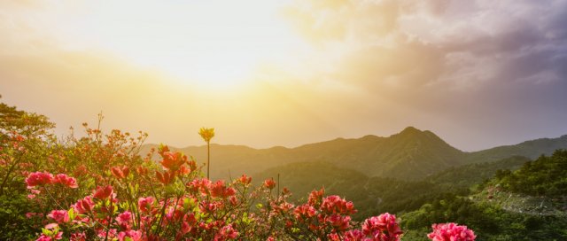 武汉最著名的三座山每年都有数百万游客来这里进香