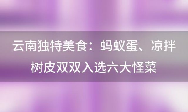 云南独特美食：蚂蚁蛋、凉拌树皮双双入选“六大怪菜”