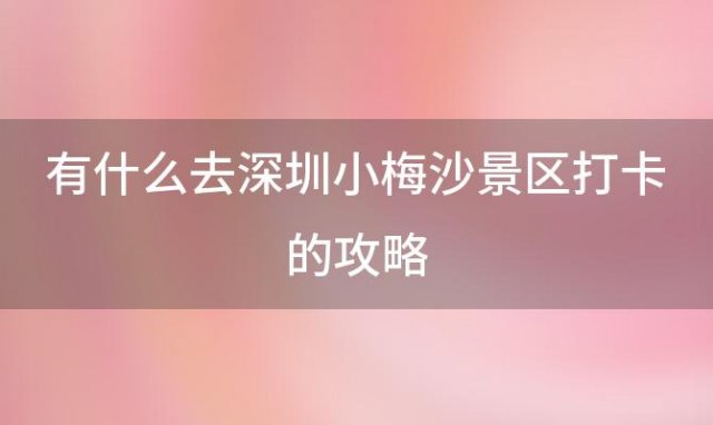 有什么去深圳小梅沙景区打卡的攻略 带着小朋友去小梅沙玩应该如何做攻略