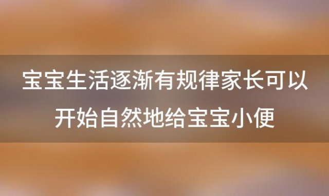 宝宝生活逐渐有规律家长可以开始自然地给宝宝小便