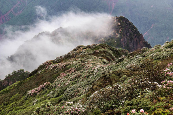 2024牛背山最佳旅游时间 牛背山最佳旅游时间是几月份