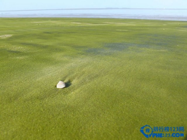 全球十大奇特海滩在哪里，全球十大奇特海滩排行榜