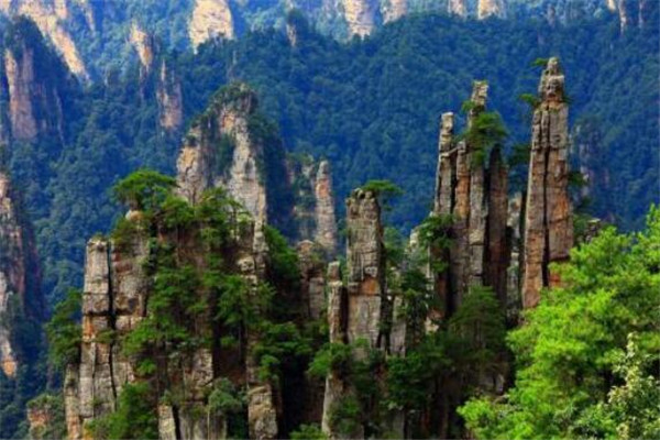 世界最迷人的十大森林城市「世界最迷人的十大森林排名」
