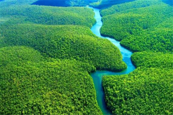 世界最迷人的十大森林城市「世界最迷人的十大森林排名」