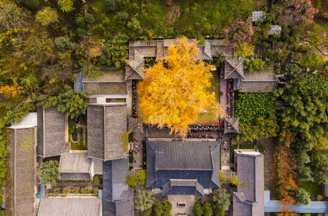 古观音禅寺在哪里建的 古观音禅寺在哪里预约