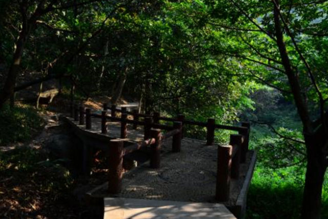 在广州哪里可以爬山玩(在广州哪里可以爬山看海)