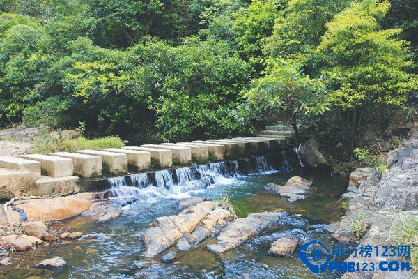 广东十大最美森林城市(广东十大最美民宿)