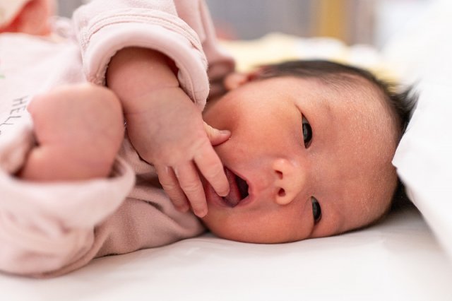 宝宝花粉过敏怎么预防(幼儿如何预防花粉过敏)