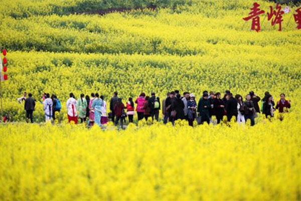 重庆十大旅游景点你去过几个