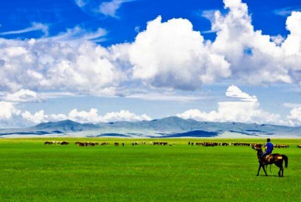 国内适合带爸妈旅游的地方(适合带父母出去玩的地方)