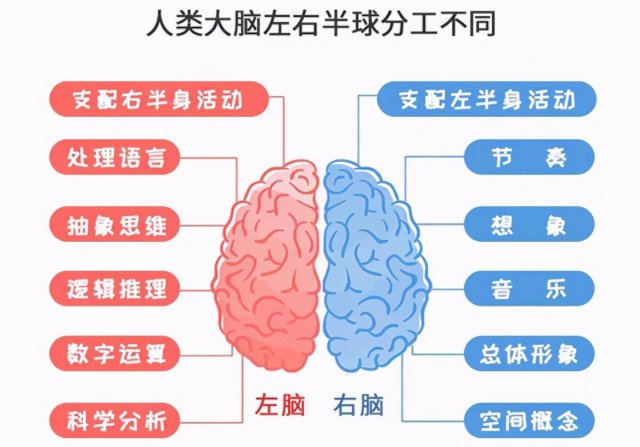 开发孩子右脑的最佳方法「怎么能开发孩子的右脑」