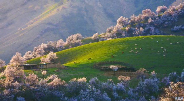 4月份适合去哪里旅游(5月份去哪里旅游最适合)