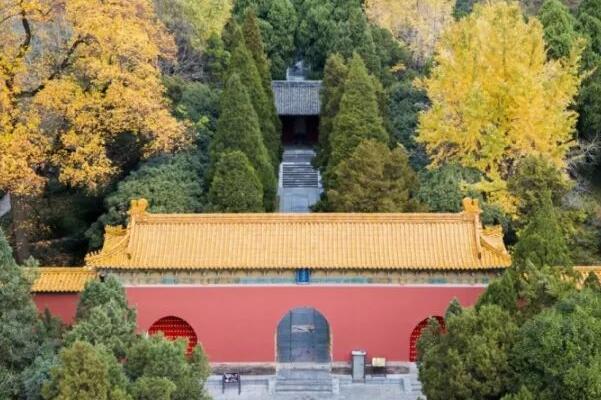 南京必游景点「南京景点必去」