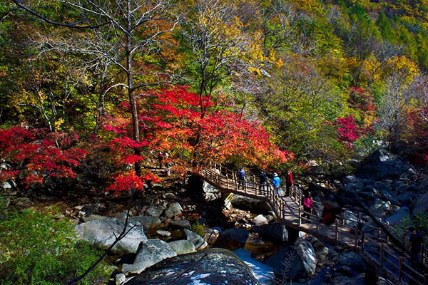 辽宁十大爬山好处排名大连天门山国家森林公园